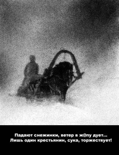 Падают снежинки, ветер в жопу дует... Лишь один крестьянин, сука, торжествует!