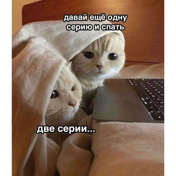 давай ещё одну серию и спать
две серии...