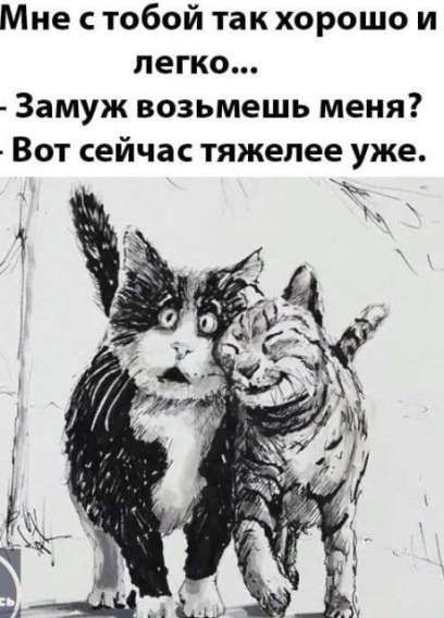 Мне с тобой так хорошо и легко...
- Замуж возьмешь меня?
- Вот сейчас тяжелее уже.