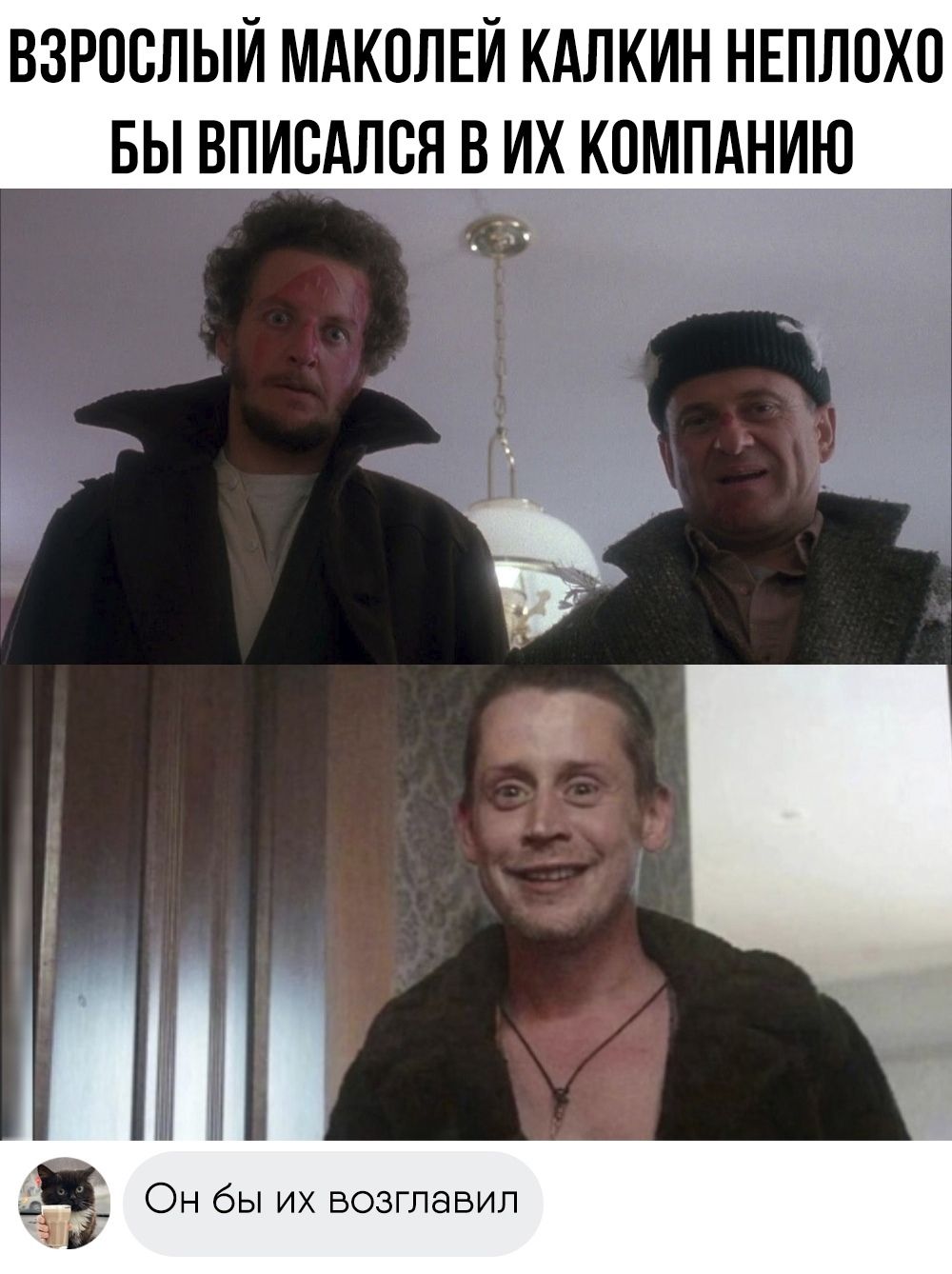 ВЗРОСДЫЙ МАКОЛЕЙ КАЛКИН НЕЛПОХО БЫ ВПИСАЛСЯ В ИХ КОМПАНИЮ. Он бы их возглавил