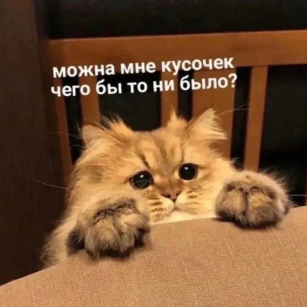 можна мне кусочек чего бы то ни было?