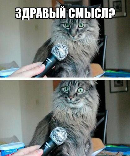 ЗДРАВЫЙ СМЫСЛ?