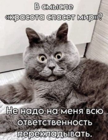 В смысле «красота спасет мир»? Не надо на меня всю ответственность перекладывать.