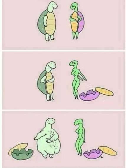 Милый четырехкадный комик про пару существ и неожиданные превращения.