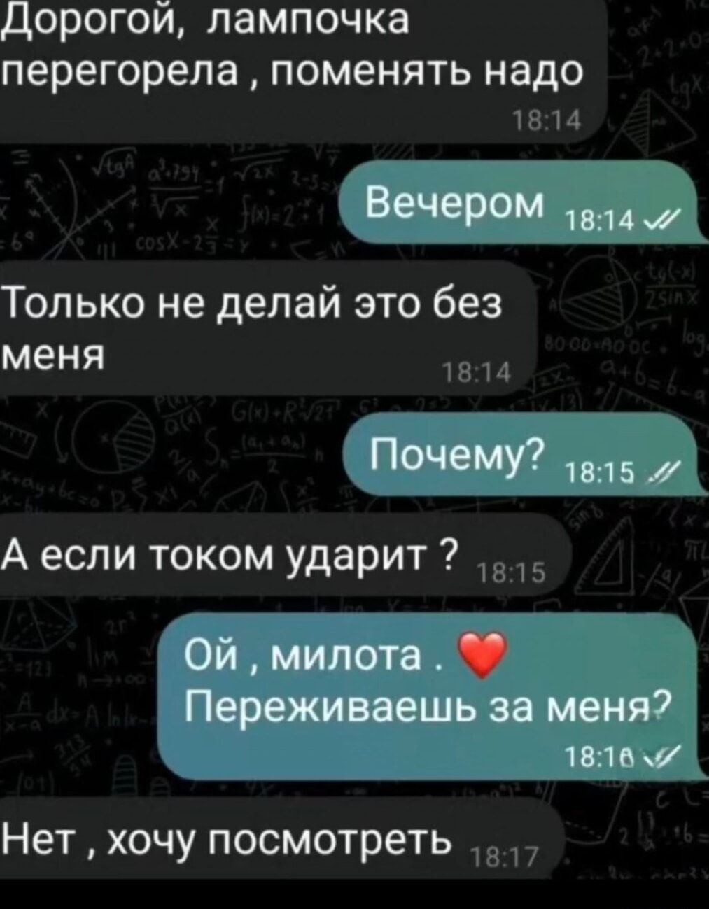 Дорогой, лампочка перегорела , поменять надо
Вечером
Только не делай это без меня
Почему?
А если током ударит ?
Ой , милота . ❤️ Переживаешь за меня?
Нет , хочу посмотреть