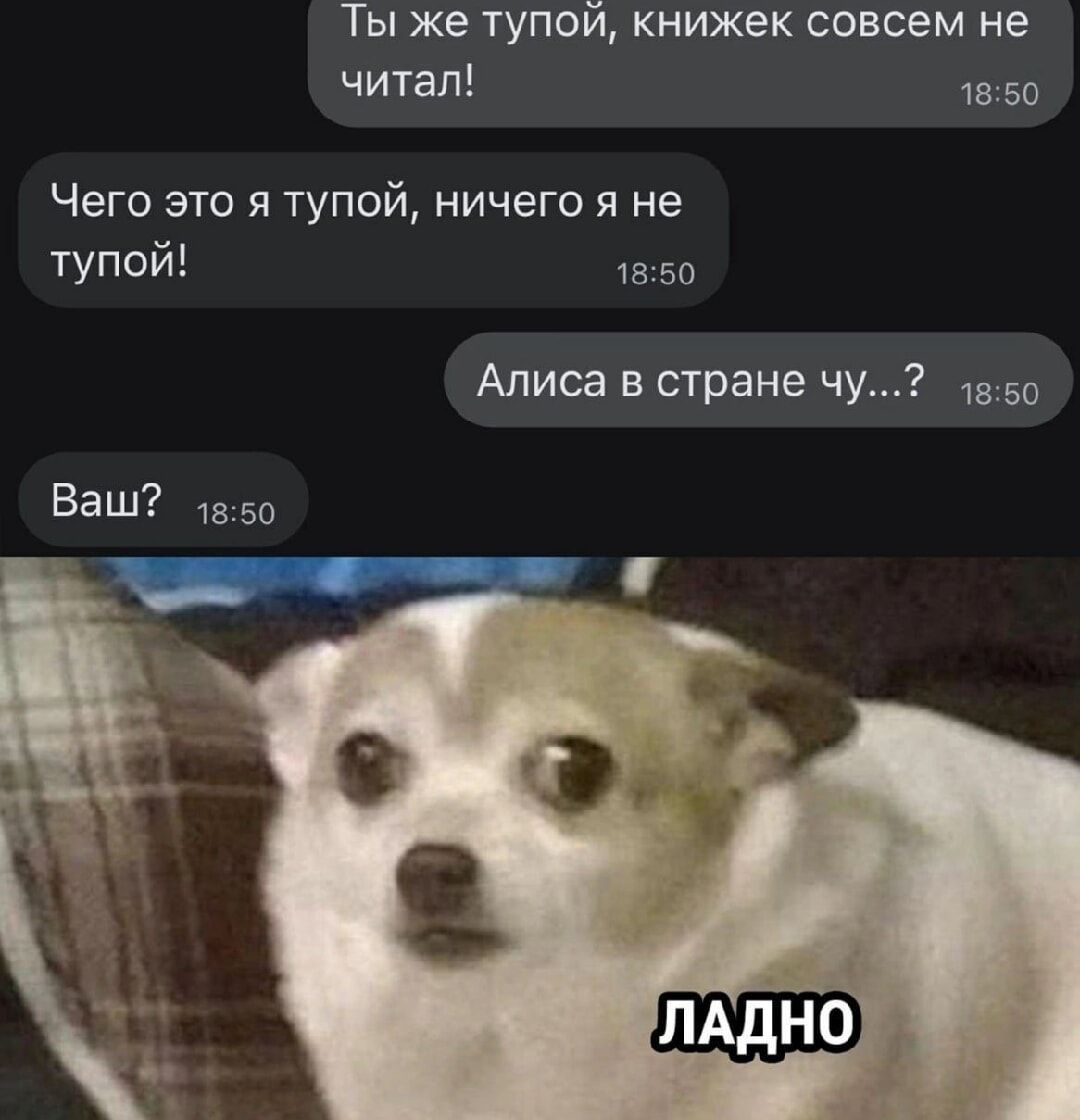 Ты же тупой, книжек совсем не читал!
Чего это я тупой, ничего я не тупой!
Алиса в стране чу...?
Ваш?
