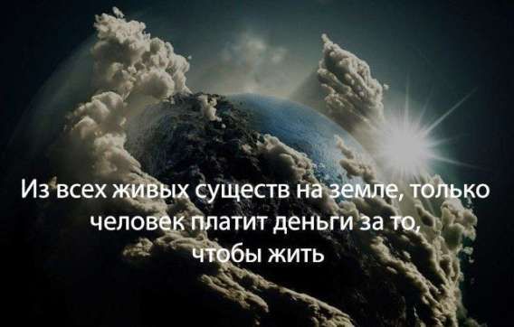 Из всех живых существ на земле, только человек платит деньги за то, чтобы жить