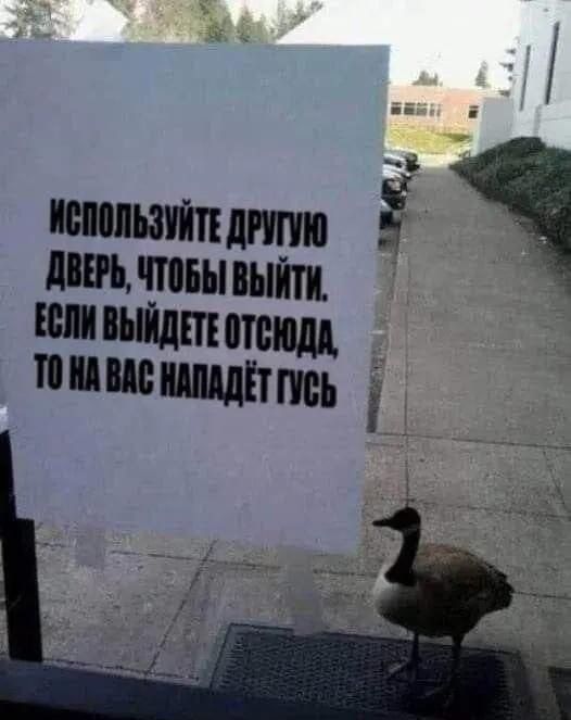 ИСПОЛЬЗУЙТЕ ДРУГУЮ ДВЕРЬ, ЧТОБЫ ВЫЙТИ. ЕСЛИ ВЫЙДЕТЕ ОТСЮДА, ТО НА ВАС НАПАДЕТ ГУСЬ
