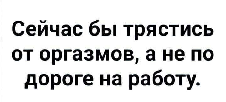 Сейчас бы трястись от оргазмов, а не по дороге на работу.