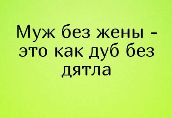 Муж без жены - это как дуб без дятла