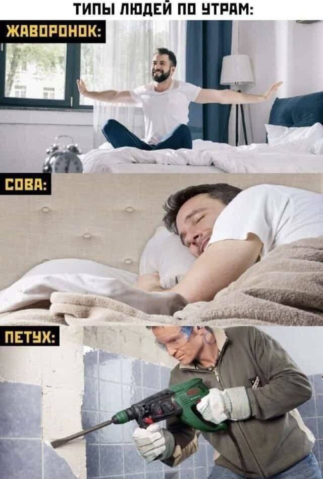 ТИПЫ ЛЮДЕЙ ПО УТРАМ:\nЖАВОРОНОК:\nСОВА:\nПЕТУХ: