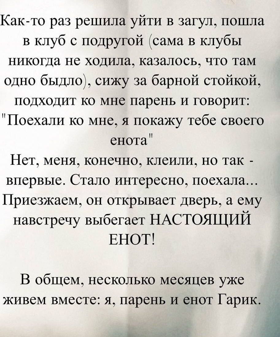 Как-то раз решила уйти в загул, пошла в клуб с подругой. Сижу за барной стойкой, подходит ко мне парень и говорит: «Поехали ко мне, я покажу тебе своего енота». Нет, меня, конечно, клеили, но так впервые. Приезжаем, он открывает дверь — навстречу выбегает НАСТОЯЩИЙ ЕНОТ! В общем, несколько месяцев живем вместе: я, парень и енот Гарик.