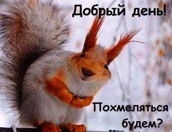 Добрый день! Похмеляться будем?