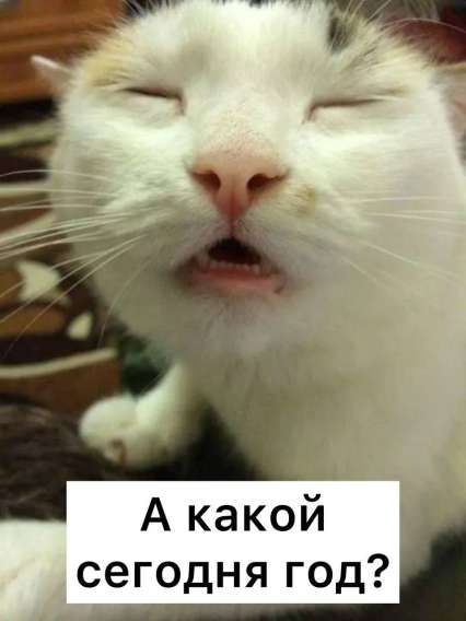 А какой сегодня год?