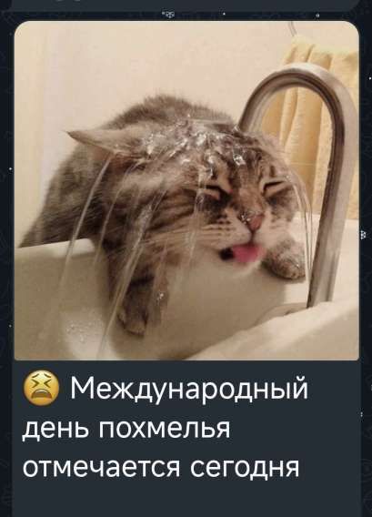 😩 Международный день похмеля отмечается сегодня
