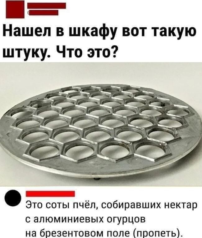 Нашел в шкафу вот такую штучку. Что это?\n\nЭто соты пчёл, собиравших нектар с алюминиевых огурцов на брезентовом поле (пропет).
