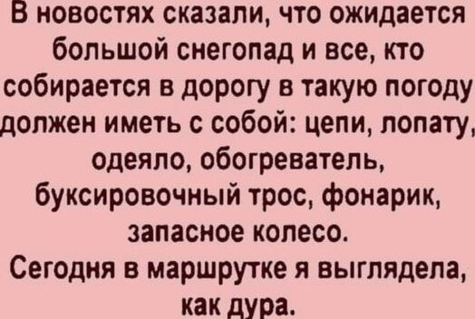 В новостях сказали, что ожидается большой снегопад и все, кто собирается в дорогу в такую погоду, должен иметь с собой: цепи, лопату, одеяло, обогреватель, буксировочный трос, фонарик, запасное колесо. Сегодня в маршрутке я выглядела как дура.