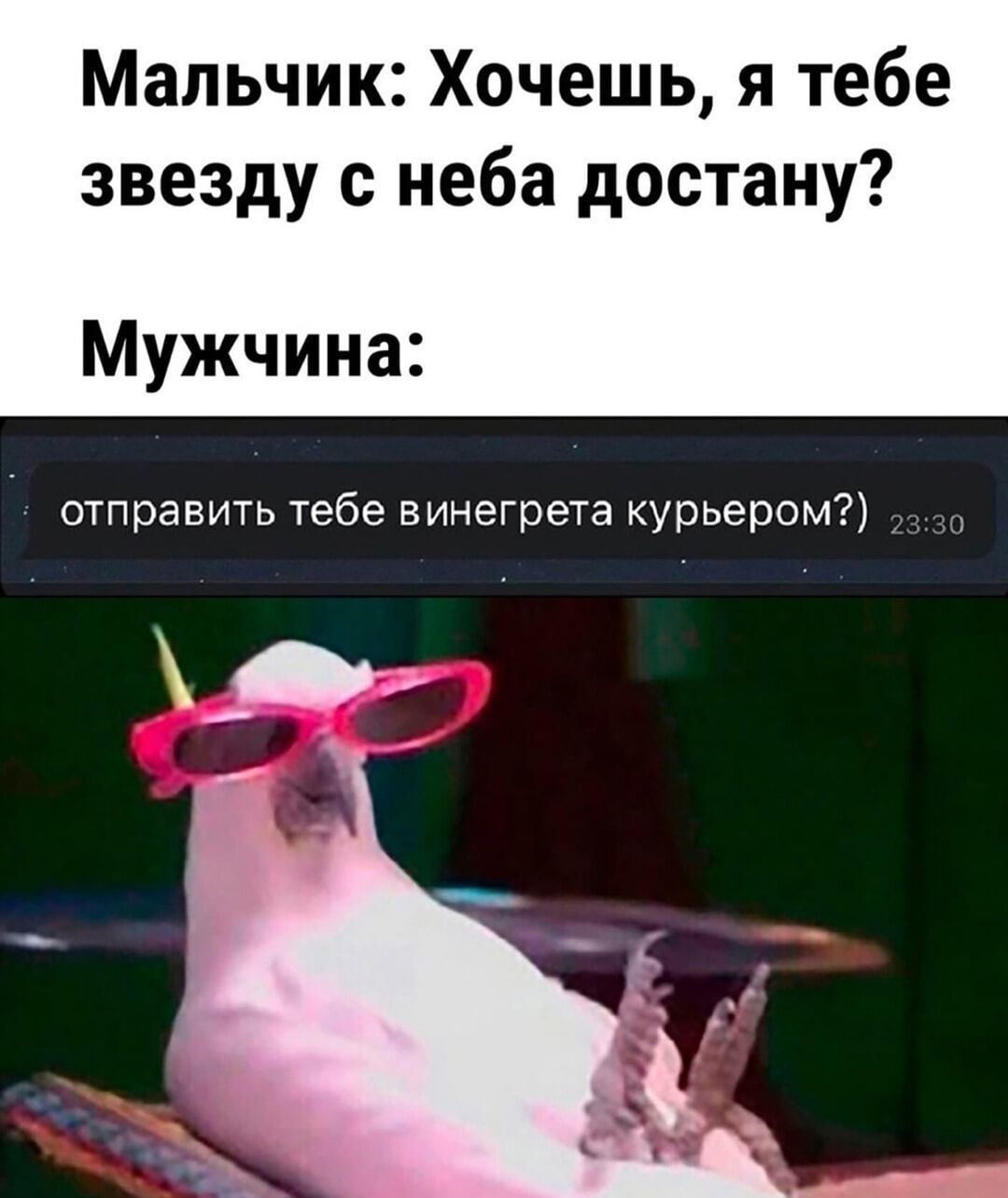 Мальчик: Хочешь, я тебе звезду с неба достану? Мужчина: отправить тебе винегрета курьером?