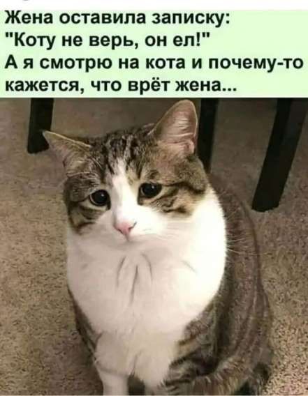 Жена оставила записку: 