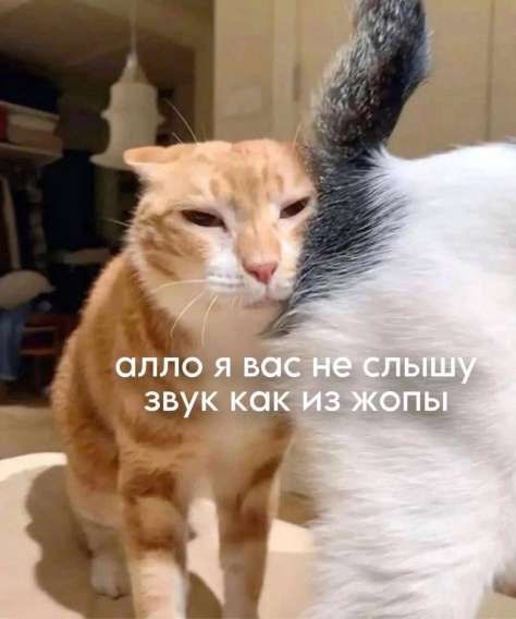 алло я вас не слышу звук как из жопы