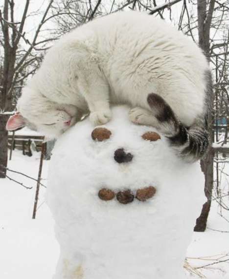 Снеговик с котом, лежащим на его голове, на заснеженном фоне