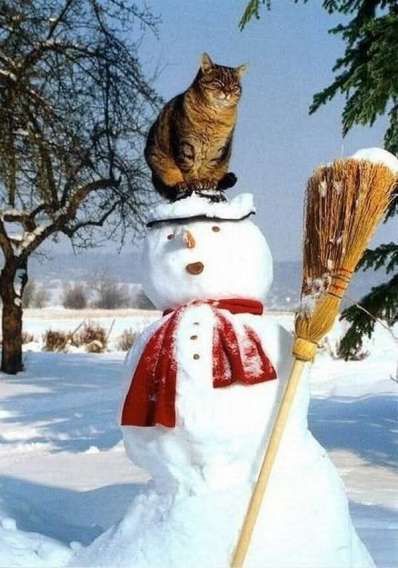 Снеговик с котом на голове на заснеженном поле, рядом метла.