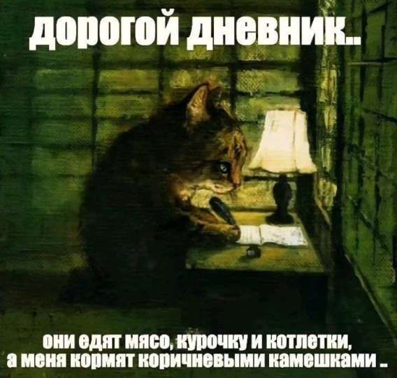 дорогой дневник.. они едят мясо, курочку и котлетки, а меня кормят коричневым камешками