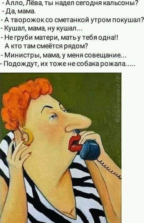 - Алло, Лёва, ты надел сегодня кальсоны?
- Да, мама.
- А творожок со сметанкой утром покушал?
- Кушал, мама, ну кушал...
- Не груби матери, мать у тебя одна!!
- А кто там смеётся рядом?
- Министы, мама, у меня совещание...
- Подождут, их тоже не собака рожа...