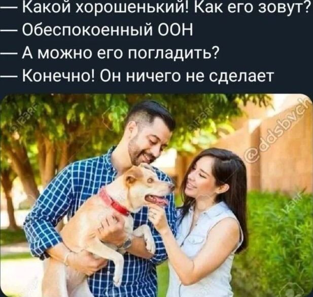 — Какой хорошенький! Как его зовут?
— Обеспокоенный ООН
— А можно его погладить?
— Конечно! Он ничего не сделает