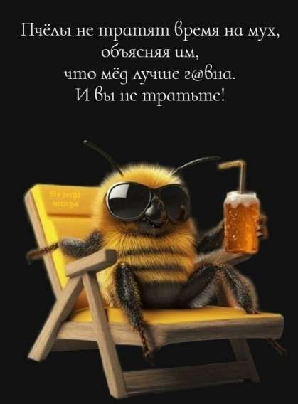 Пчёлы не тратят время на мух, объясняя им, что мёд лучше з@вна. И вы не тратите!