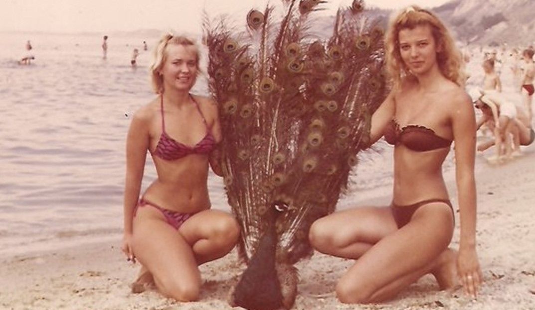 Две женщины в купальниках стоят на пляже рядом с декоративным кустом/перьями