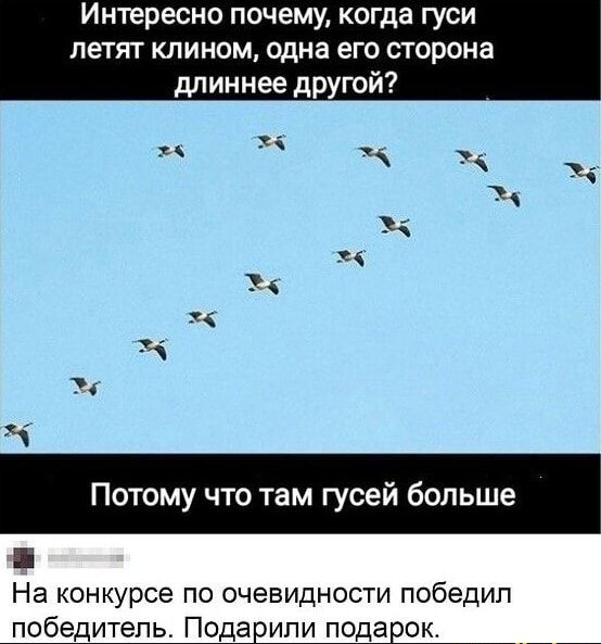 Интересно почему, когда гуси летят клином, одна его сторона длиннее другой? Потому что там гусей больше