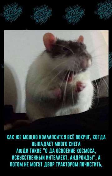 КАК ЖЕ МОЩНО КОЛЛАПСИРУЕТСЯ ВСЁ ВОКРУГ, КОГДА ВЫПАДАЕТ МНОГО СНЕГА ЛЮДИ ТАКИЕ «О ДА ОСВОЕНИЕ КОСМОСА, ИСКУССТВЕННЫЙ ИНТЕЛЛЕКТ, АНДРОИДЫ», А ПОТОМ НЕ МОГУТ ДВОР ТРАКТОРОМ ПОЧИСТИТЬ