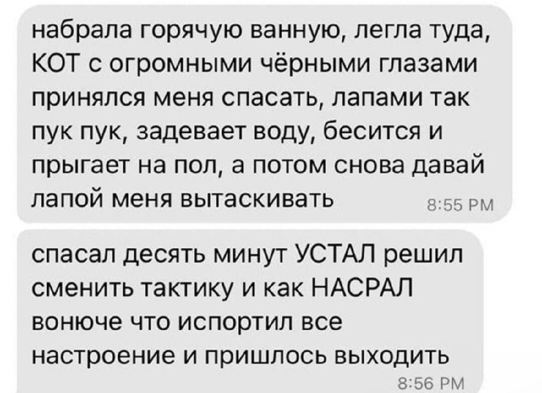 набрала горячую ванную, легла туда, КОТ с огромными чёрными глазами принялся меня спасать, лапами так пук пук, заедает воду, бесится и прыгает на пол, а потом снова давай лапой меня вытаскивать\nспасал десять минут устал решил сменить тактику и как НАСРАЛ воночe что испортил все настроение и пришлось выходить