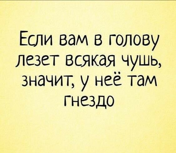 Если вам в голову лезет всякая чушь, значит, у неё там гнездо