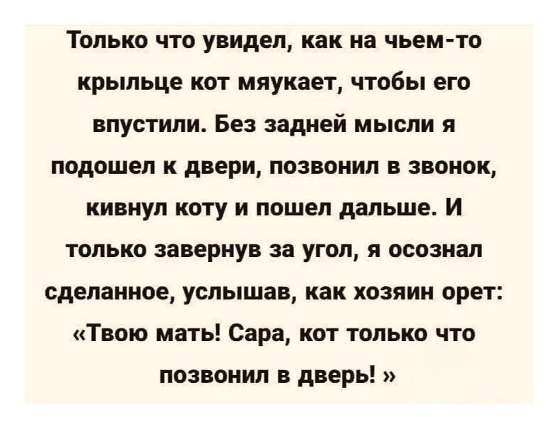 Только что увидел, как на чьём-то крыльце кот мяукает, чтобы его впустили. Без задней мысли я подошёл к двери, позвонил в звонок, кивнул коту и пошёл дальше. И только завернув за угол, я осознал сделанное, услышав, как хозяин орет: «Твою мать! Сара, кот только что позвонил в дверь!»