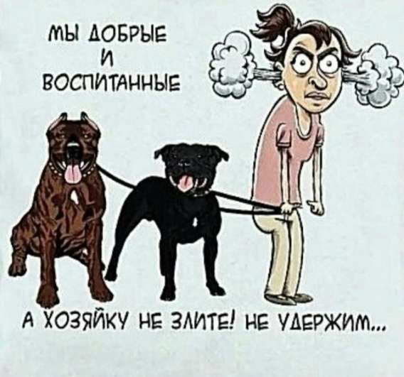 Мы добрые и воспитанные. А хозяйку не злите! Не удержим...