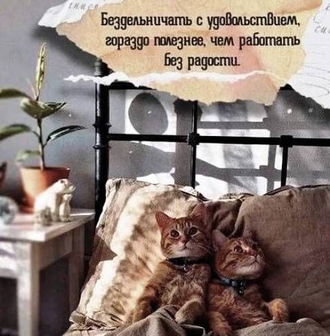 Бездельничать с удовольствием, гораздо полезнее, чем работать без радости.