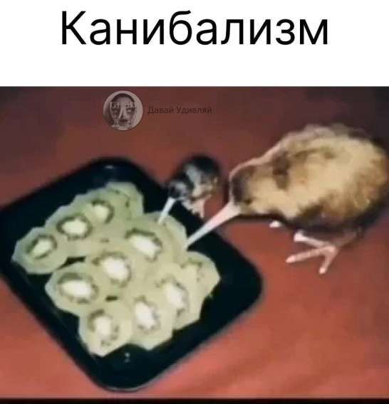 Канибализм