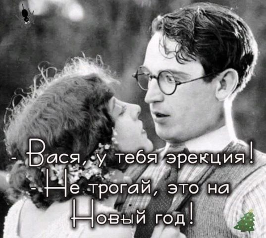 Вася, у тебя эрекция! Не трогай, это на Новый год!