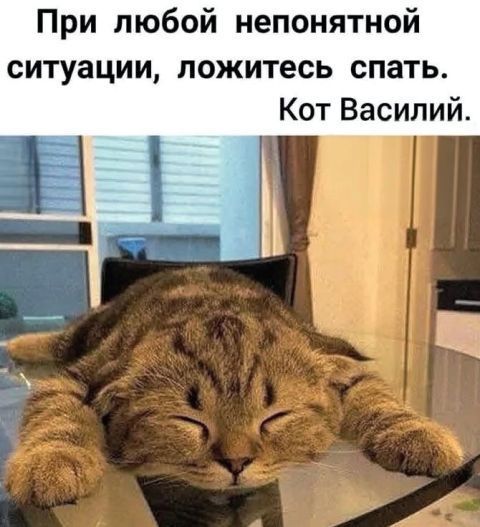 При любой непонятной ситуации, ложитесь спать. Кот Василий.