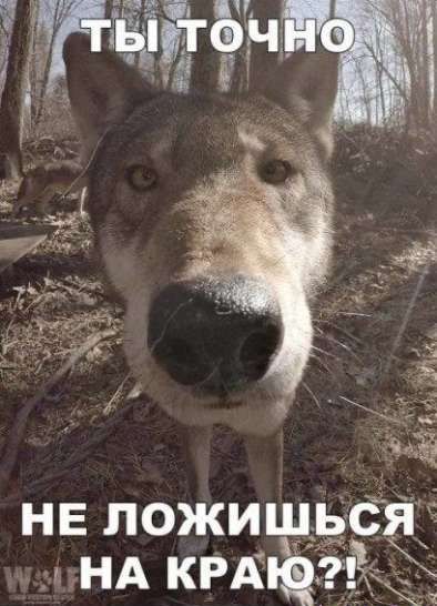 ТЫ ТОЧНО НЕТ ЛОЖИШЬСЯ НА КРАЮ?!