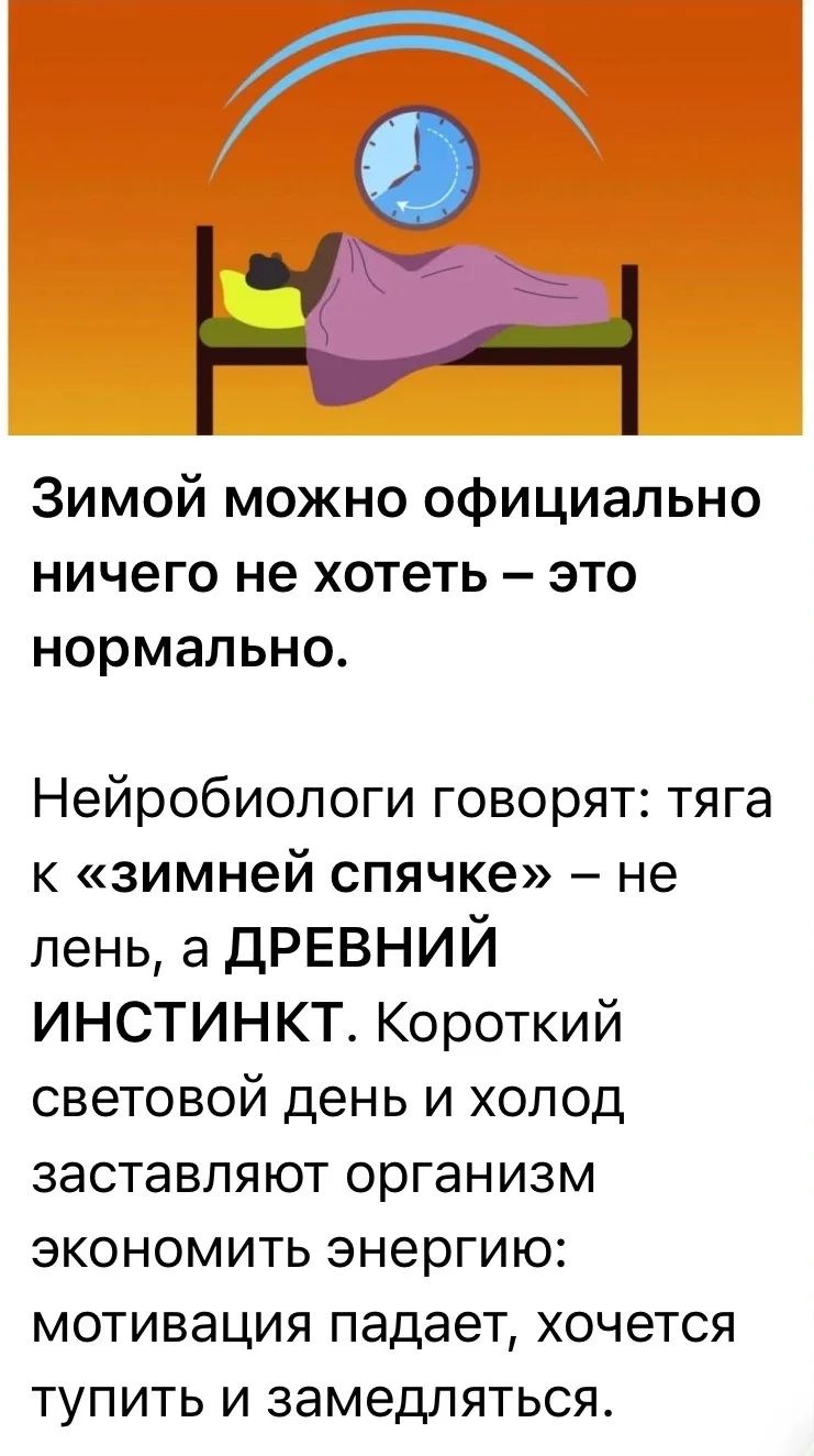 Зимой можно официально ничего не хотеть – это нормально. Нейробиологи говорят: тяга к «зимней спячке» – не лень, а ДРЕВНИЙ ИНСТИНКТ. Короткий световой день и холод заставляют организм экономить энергию: мотивация падает, хочется тупить и замедляться.