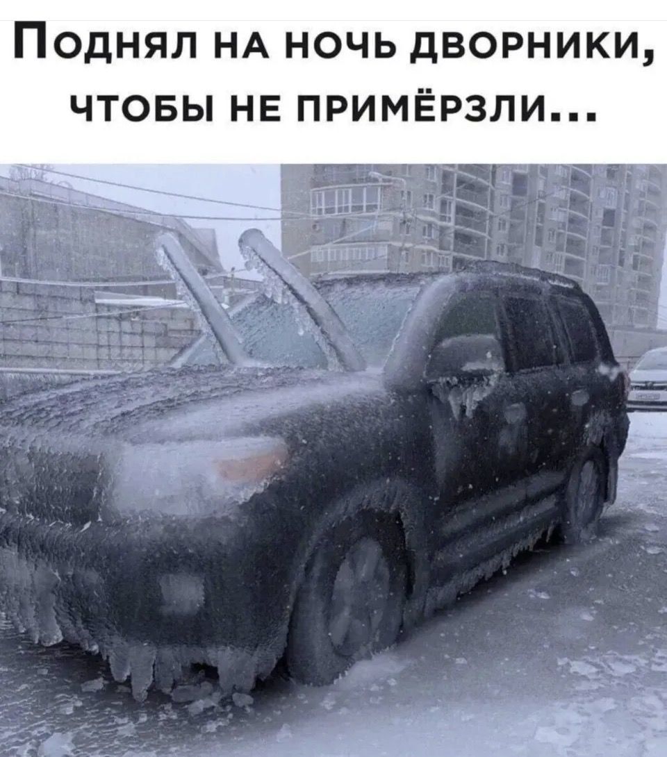 Поднял на ночь дворники, чтобы не примёрзли...