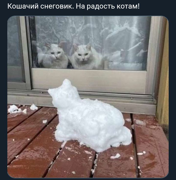 Кошачий снеговик. На радость котам!