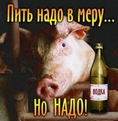 Пить надо в меру... Но надо!