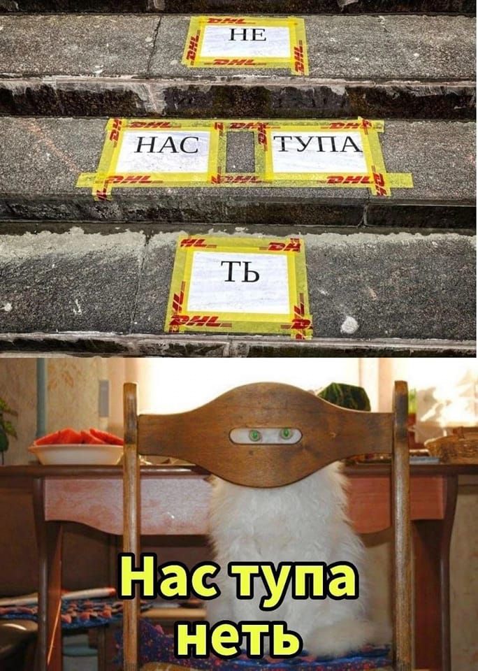 Нас тупа нет