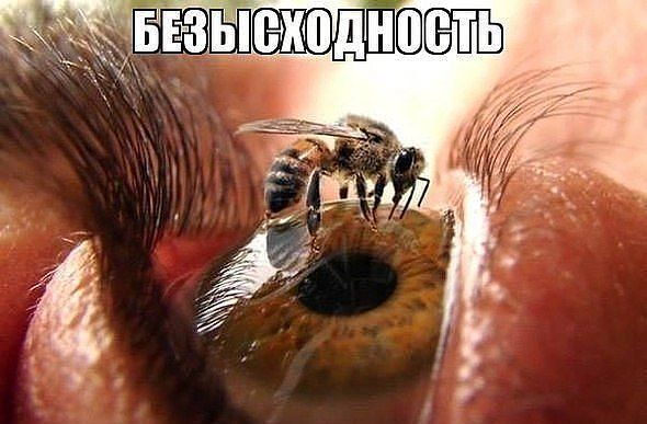 БЕЗЫСХОДНОСТЬ