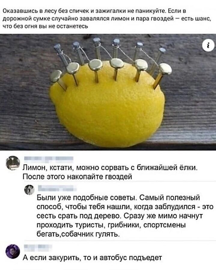 Оказавшись в лесу без спичек и зажигалки не паникуйте. Если в дорожной сумке случайно завялялся лимон и пара гвоздей — есть шанс — что без огня вы не останетесь. Лимон, кстати, можно сровать с ближайшей елки. После этого накопаете гвоздей.