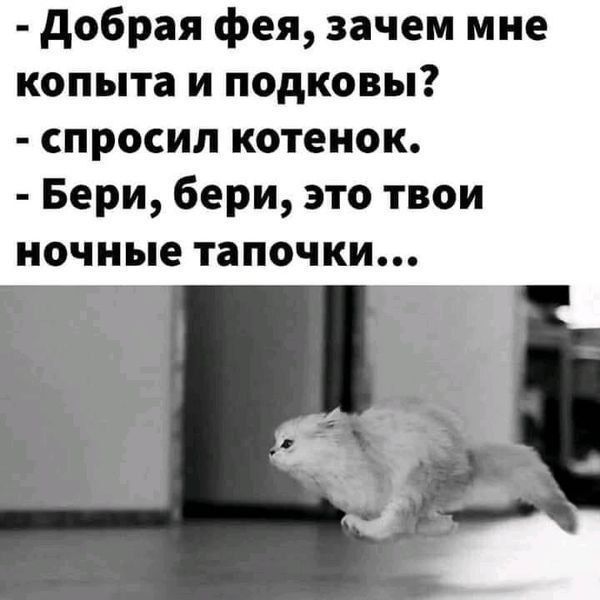 - Добрая фея, зачем мне копыта и подковы? - спросил котенок. - Берй, бери, это твои ночные тапочки...